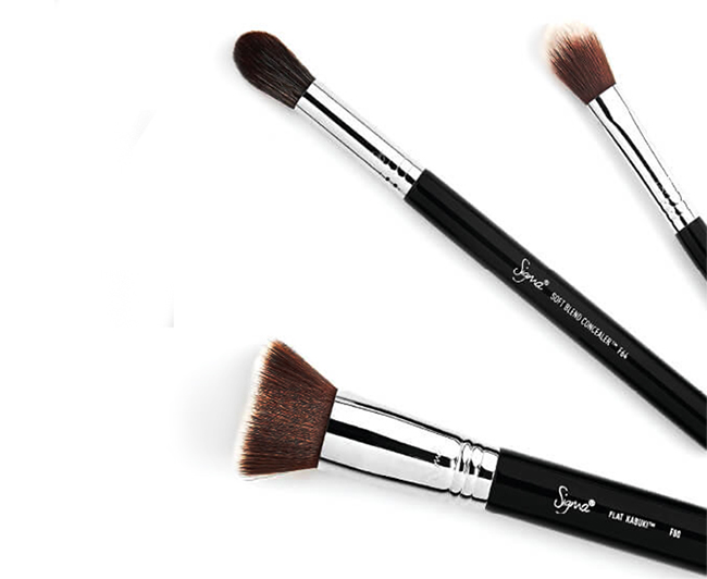 Sigma Best of Beauty Brush Set, All you need for perfect face